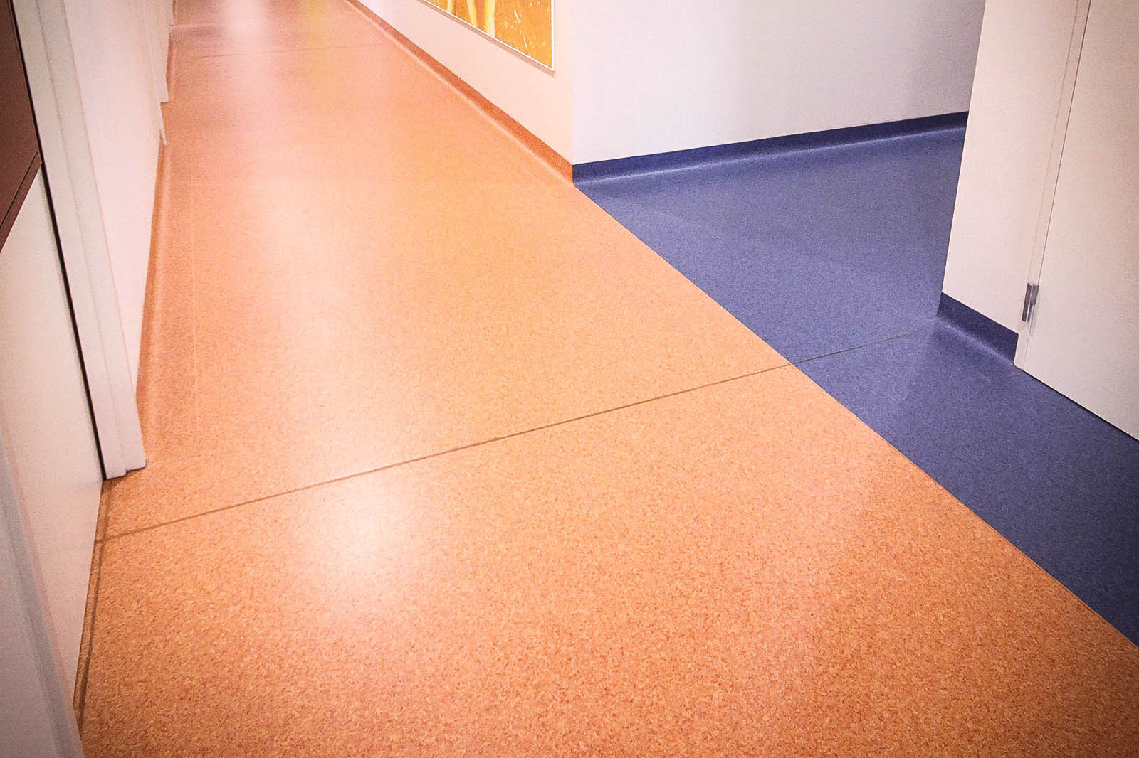 Alcopro, pour le marché professionnel